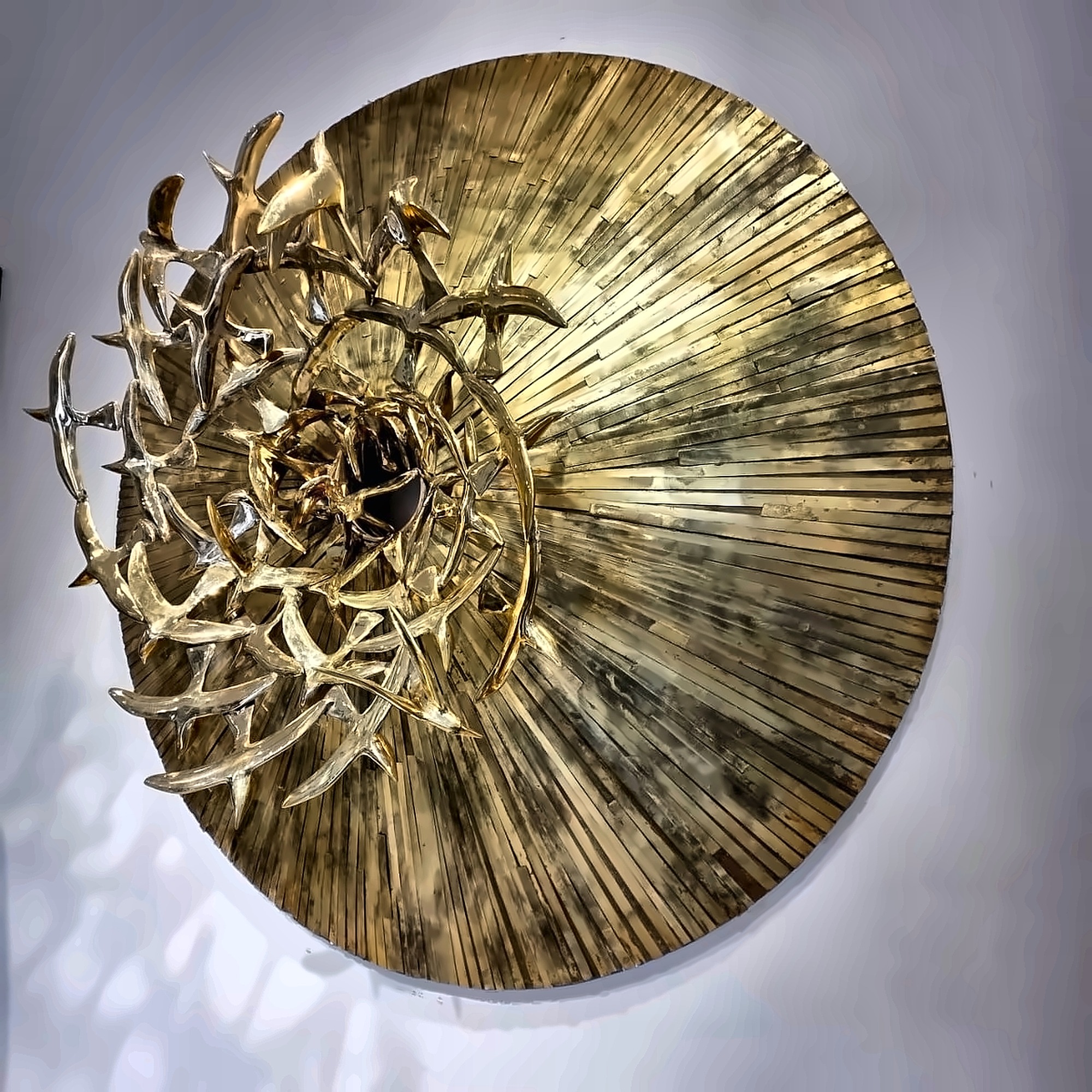 The same disc seen from the side, showing how far the birds stand off the surface.