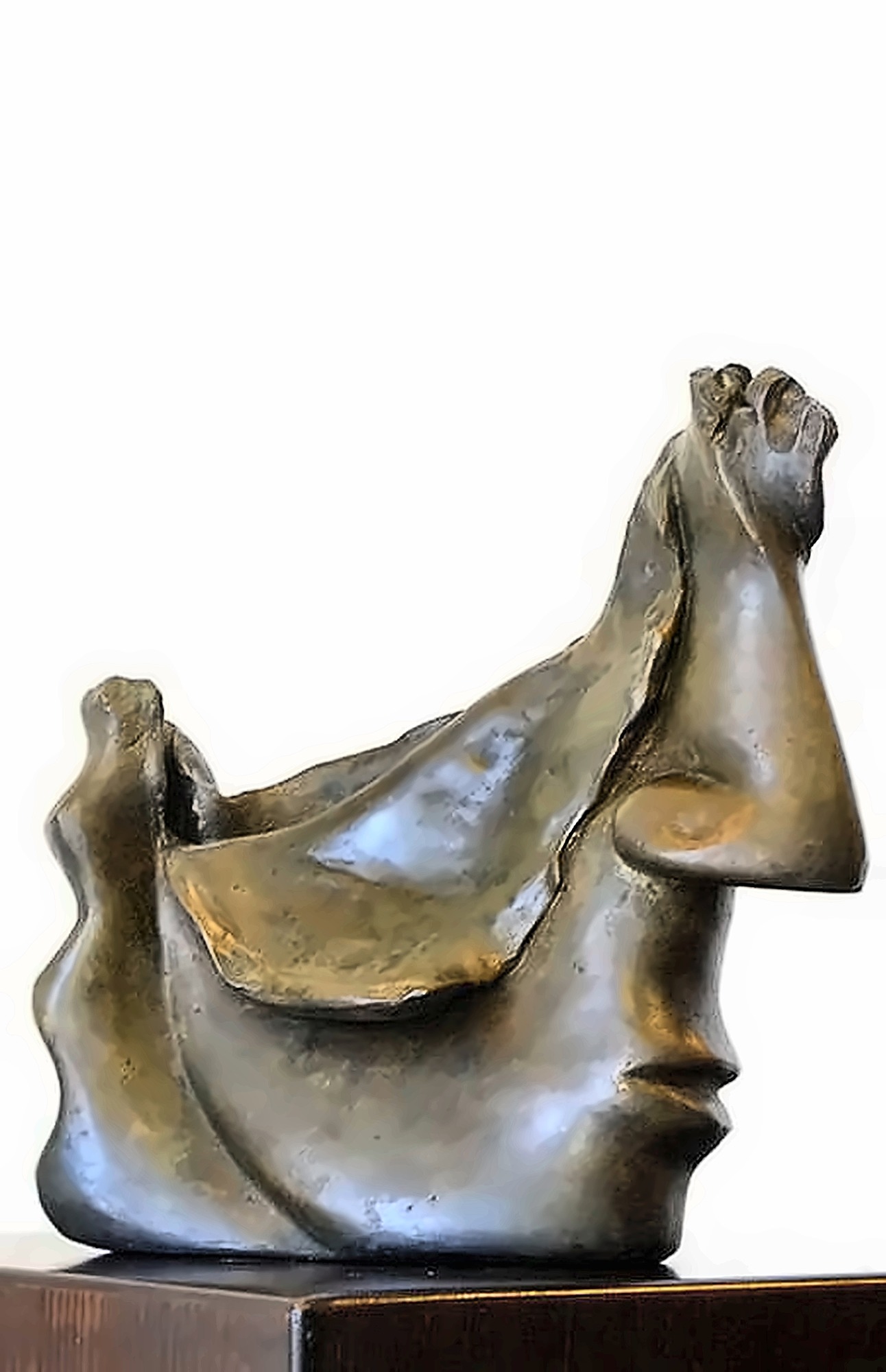 A bronze face tipped back so the profile becomes a landscape, the brow and nose reading as ridges.